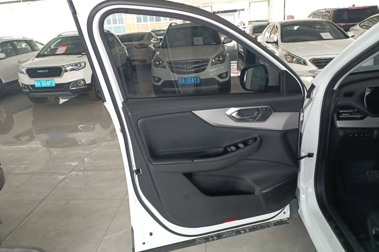 Used BAIC Beijing X7 2020 1.5TD DCT ZhiShang Edition Left Front Door Interior