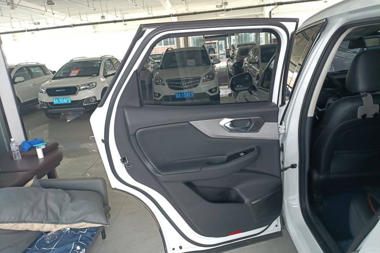 Used BAIC Beijing X7 2020 1.5TD DCT ZhiShang Edition Left Rear Door Interior