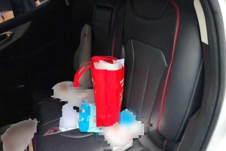 Used BAIC Beijing X7 2020 1.5TD DCT ZhiShang Edition Left Rear Seat