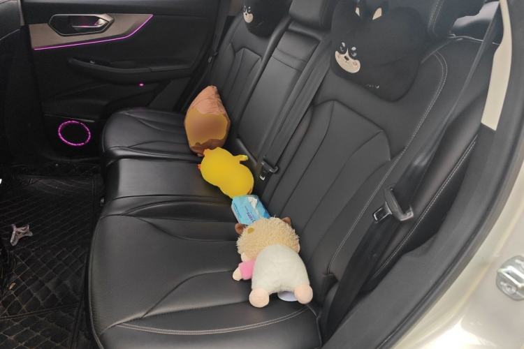 Used BAIC Beijing X7 2022 1.5TD DCT ZhiShang Edition Left Rear Seat