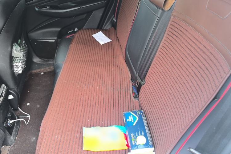 Used BAIC Beijing X7 2023 1.5TD DCT Premium+ Edition Left Rear Seat