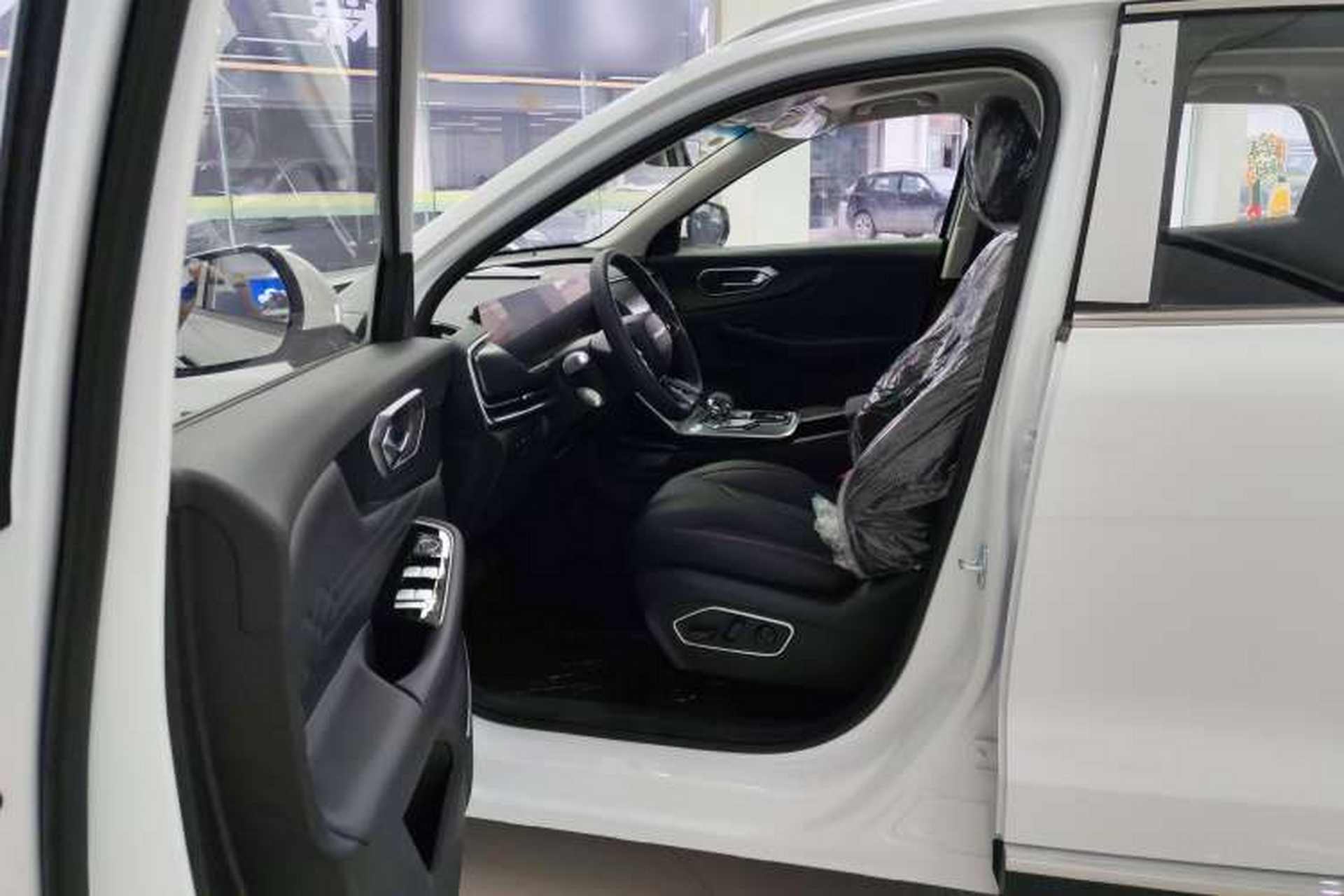 Used BAIC Beijing X7 2023 1.5TD DCT Premium+ Edition Left Front Seat