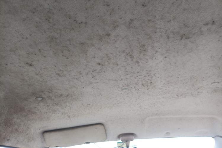 Used BAIC Changhe Freedom 2011 1.0L Hongyun Edition EC Type DA465QE Headliner