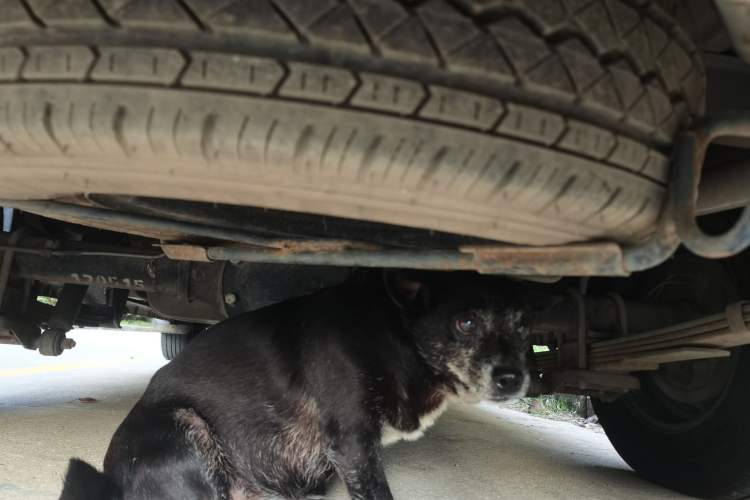 Used BAIC Changhe M50S  Chassis Rear