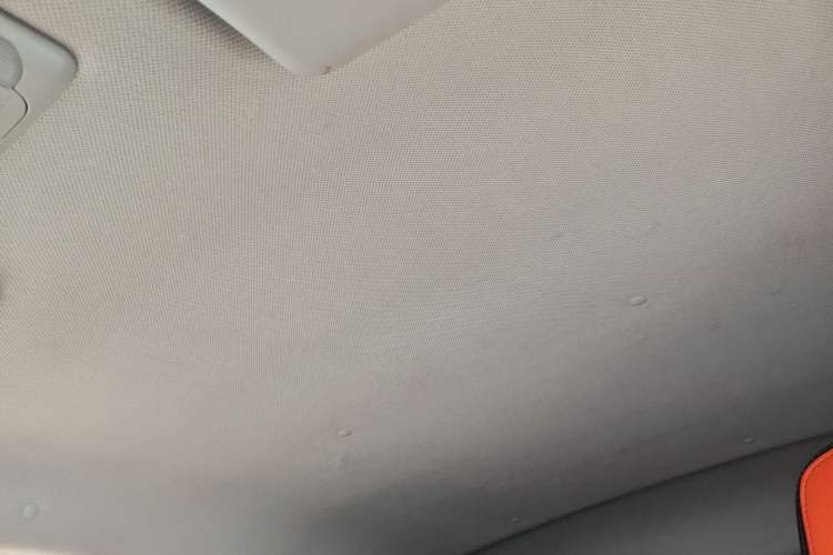 Used BAIC New Energy EC 2017 EC180 Dynamic Edition Headliner