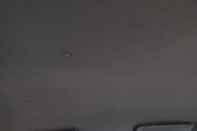 Used BAIC New Energy EC 2017 EC180 Dynamic Edition Headliner
