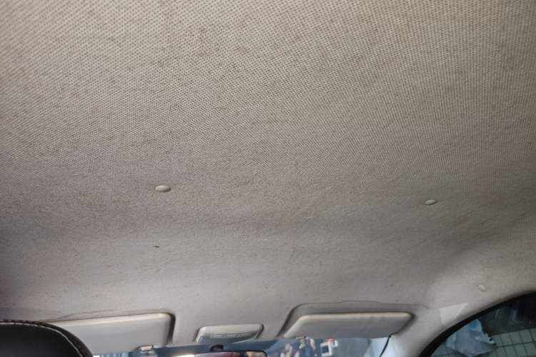 Used BAIC New Energy EC 2017 EC200 Dynamic Edition Headliner