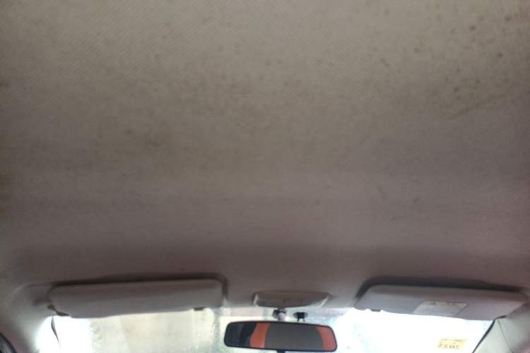 Used BAIC New Energy EC 2017 EC180 Elegant Edition Headliner