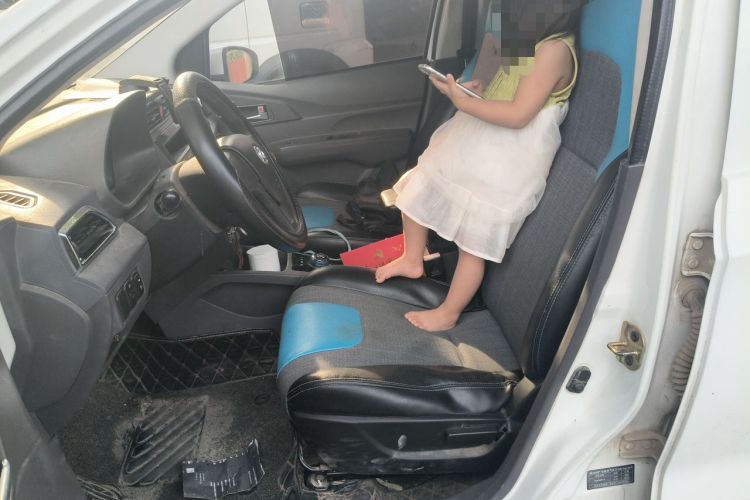 Used BAIC New Energy EC 2017 EC180 Dynamic Edition Left Front Seat