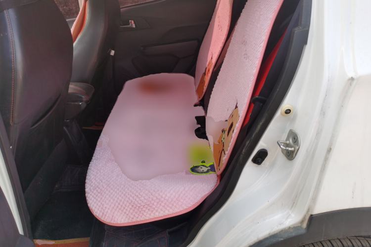 Used BAIC New Energy EC 2017 EC200 Dynamic Edition Left Rear Seat