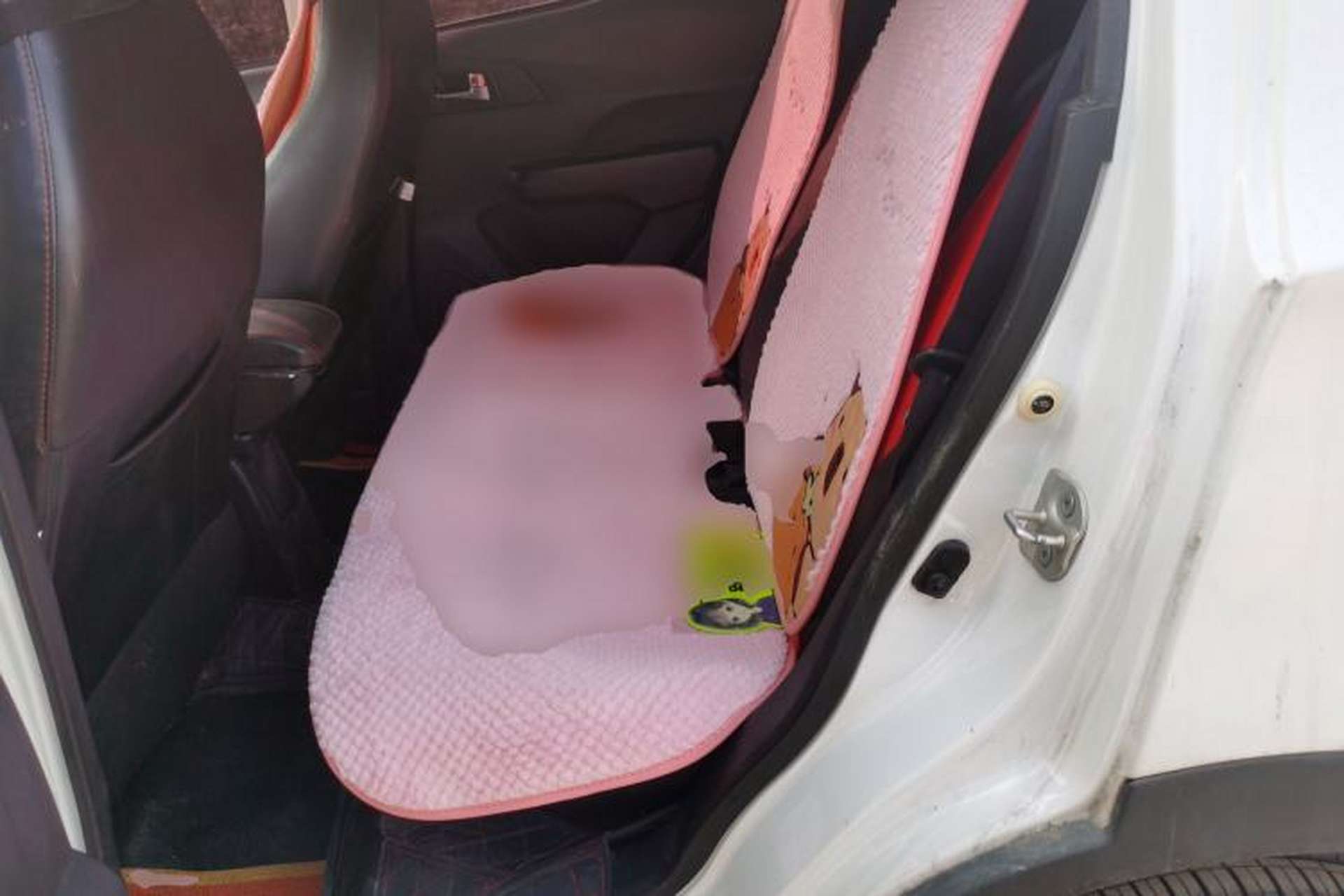 Used BAIC New Energy EC 2017 EC200 Dynamic Edition Left Rear Seat