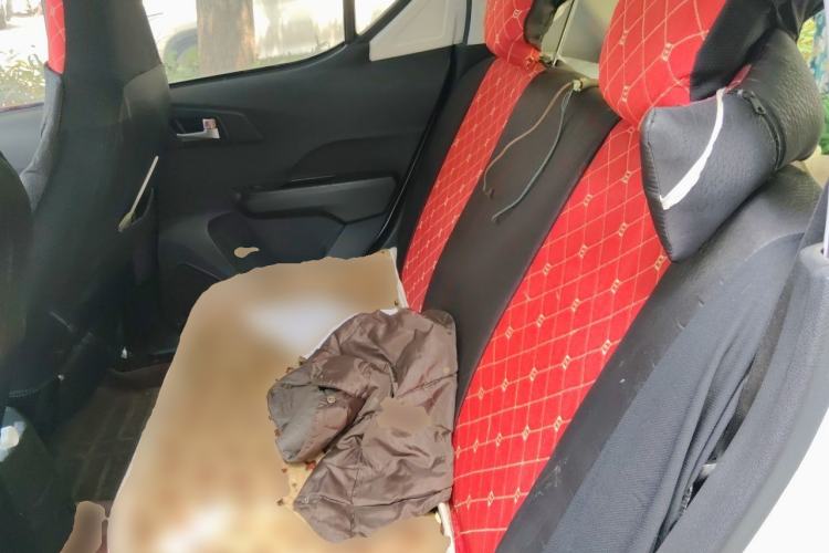 Used BAIC New Energy EC 2017 EC180 Dynamic Edition Left Rear Seat