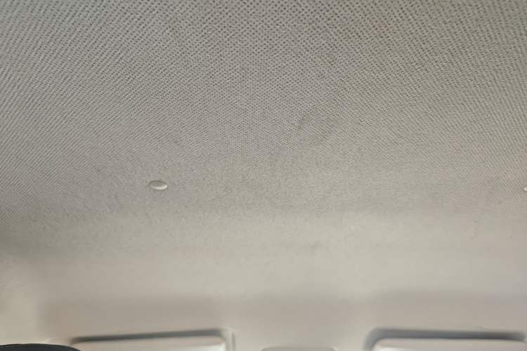 Used BAIC New Energy EC 2017 EC180 Dynamic Edition Headliner