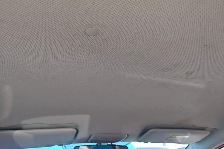 Used BAIC New Energy EC 2018 EC220 Standard Edition Headliner