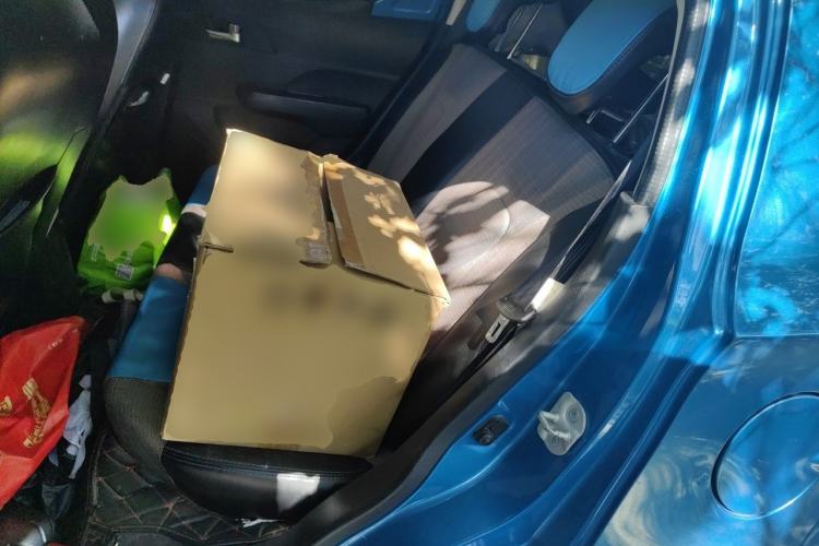 Used BAIC New Energy EC 2018 EC220 Standard Edition Left Rear Seat