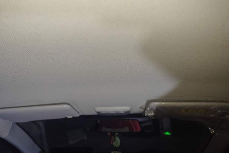 Used BAIC New Energy EC 2018 EC220 Standard Edition Headliner