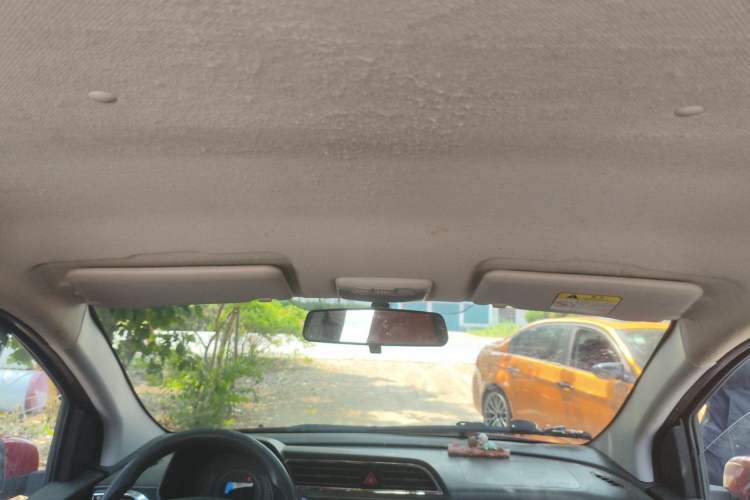 Used BAIC New Energy EC 2018 EC220 Standard Edition Headliner