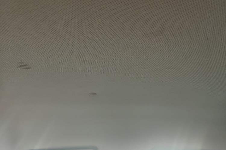 Used BAIC New Energy EC 2018 EC220 Standard Edition Headliner