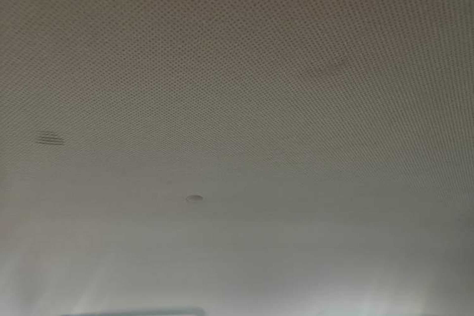 Used BAIC New Energy EC 2018 EC220 Standard Edition Headliner