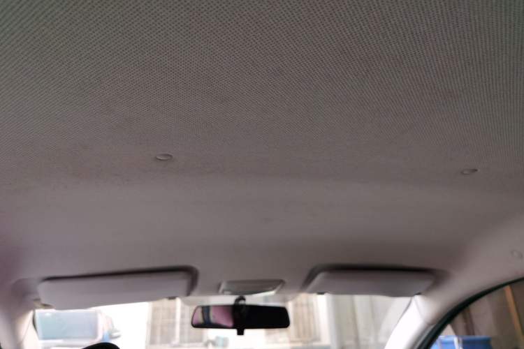 Used BAIC New Energy EC 2018 EC220 Standard Edition Headliner