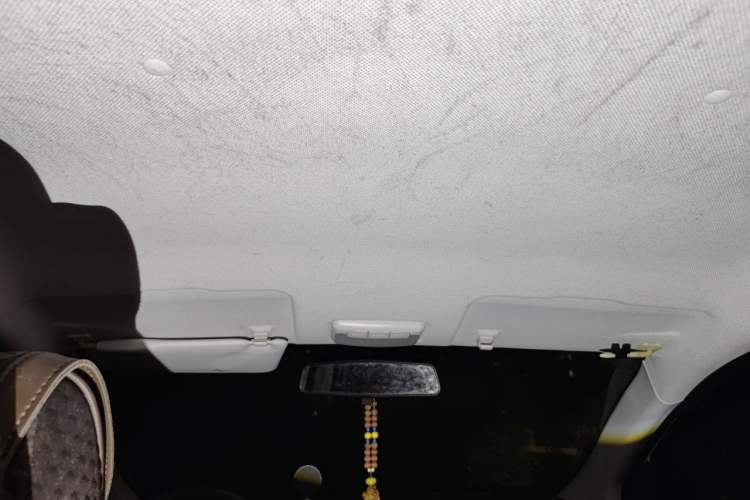 Used BAIC New Energy EC 2018 EC220 Standard Edition Headliner
