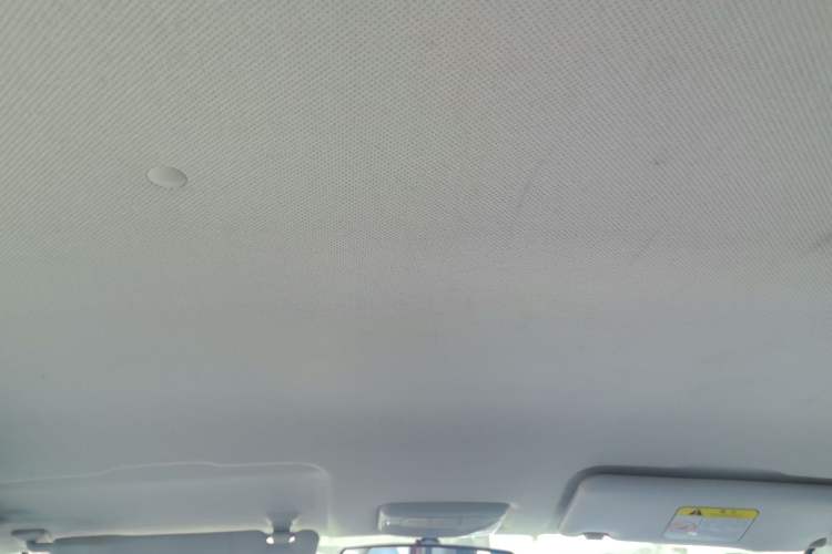 Used BAIC New Energy EC 2018 EC220 Standard Edition Headliner