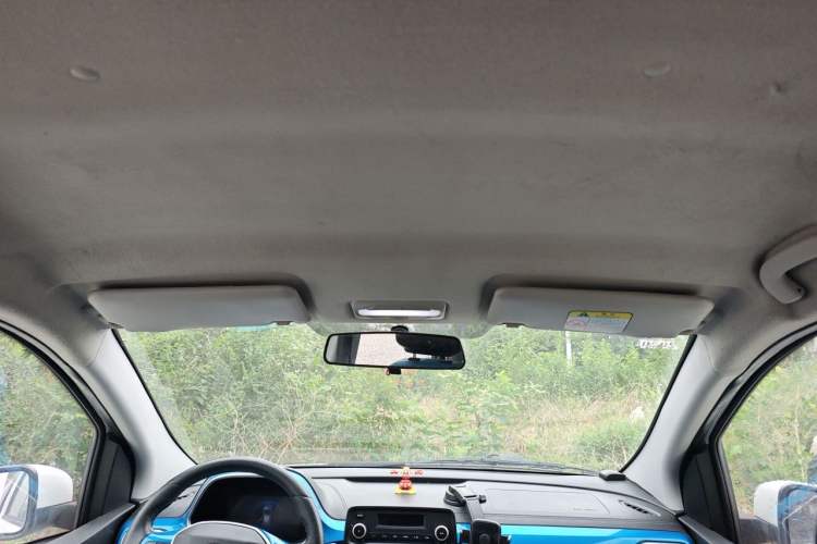 Used BAIC New Energy EC3 2018 Dynamic Edition Headliner