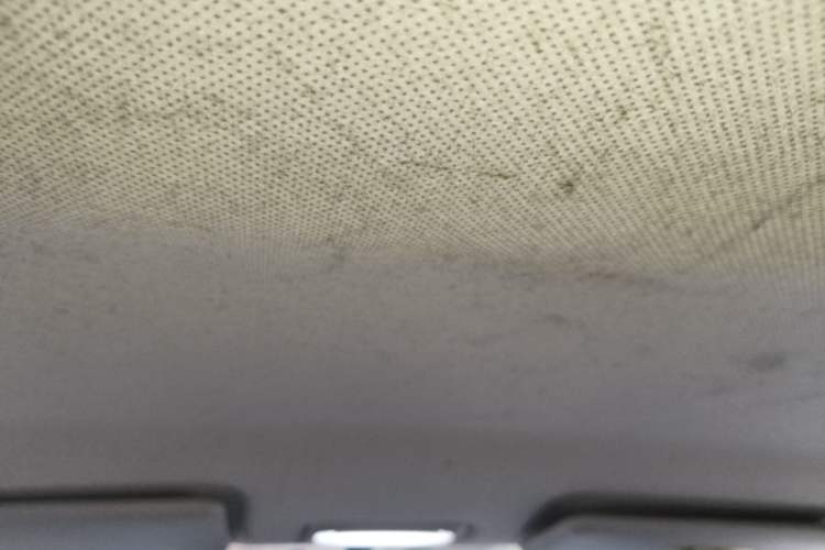 Used BAIC New Energy EC3 2018 Dynamic Edition Headliner