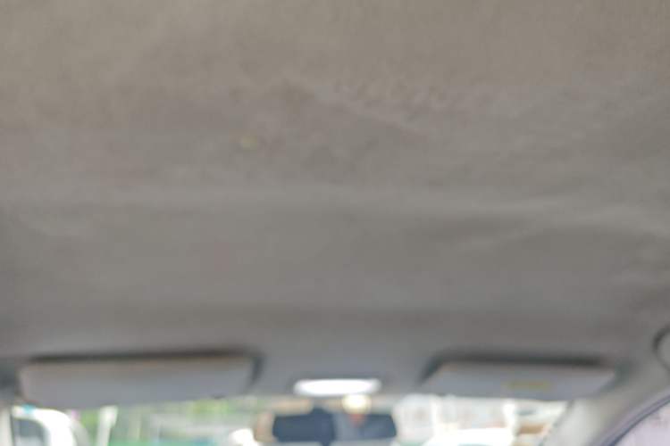 Used BAIC New Energy EC3 2018 Dynamic Edition Headliner
