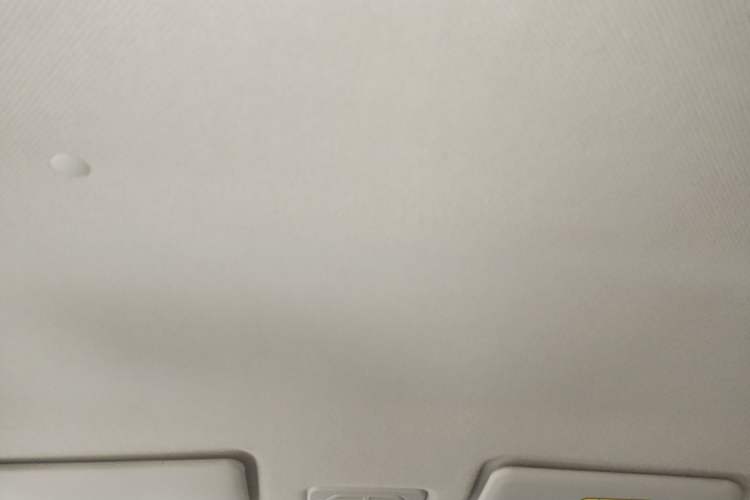 Used BAIC New Energy EC3 2019 Dynamic Edition Headliner