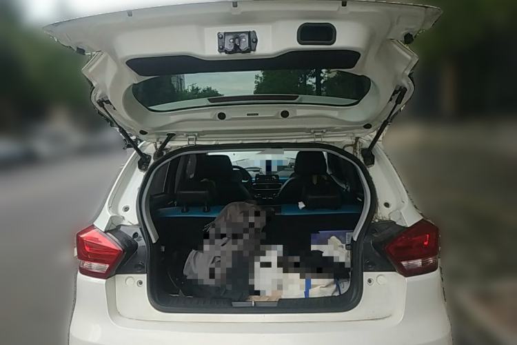 Used BAIC New Energy EC3 2019 Dynamic Edition Trunk