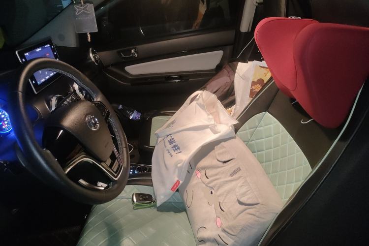 Used BAIC New Energy EC5 2019 New Style Edition Left Front Seat