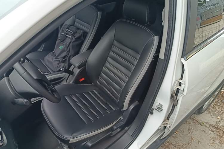 Used BAIC New Energy EC5 2019 New Style Edition Left Front Seat