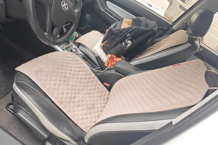 Used BAIC New Energy EC5 2019 New Air Edition Left Front Seat