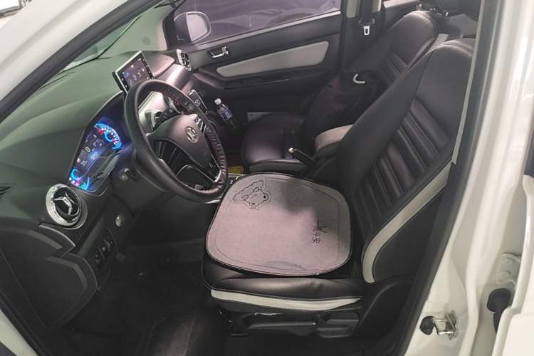 Used BAIC New Energy EC5 2019 New Style Edition Left Front Seat