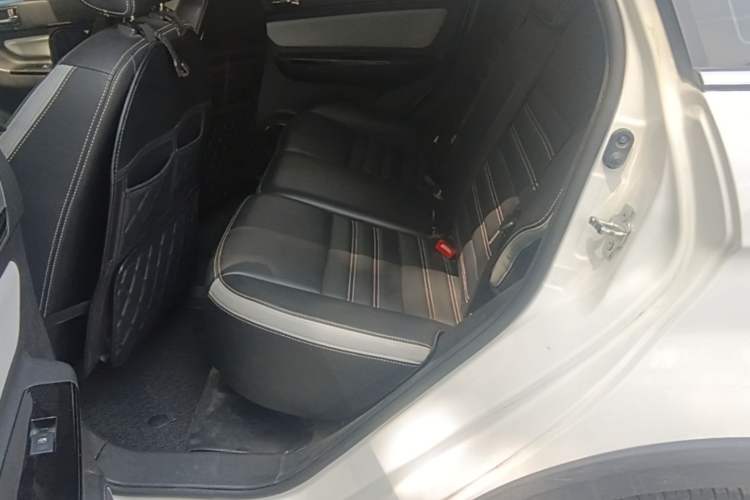 Used BAIC New Energy EC5 2019 New Style Edition Left Rear Seat