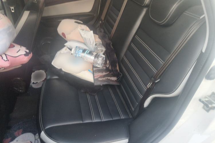 Used BAIC New Energy EC5 2019 New Style Edition Left Rear Seat