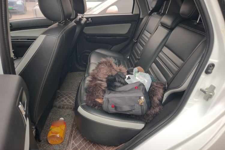 Used BAIC New Energy EC5 2019 New Style Edition Left Rear Seat