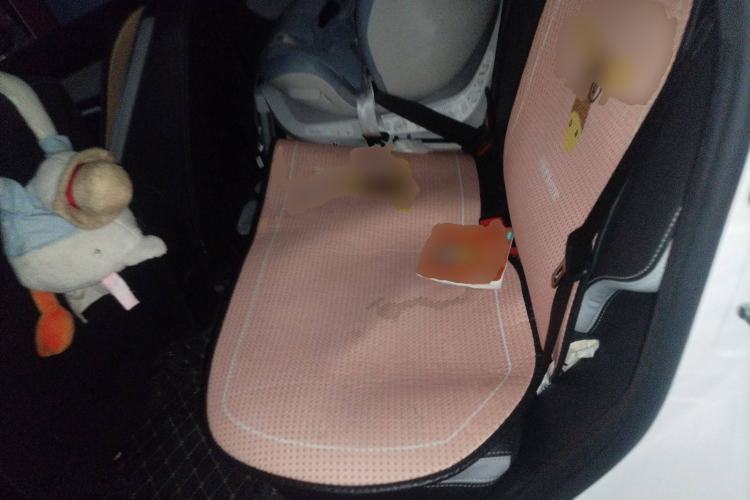 Used BAIC New Energy EC5 2019 New Air Edition Left Rear Seat