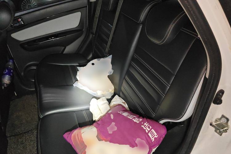 Used BAIC New Energy EC5 2019 New Style Edition Left Rear Seat