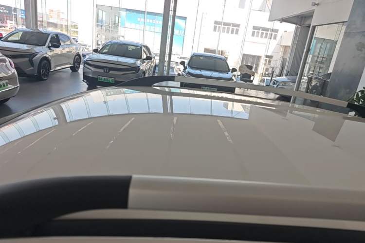 Used BAIC New Energy EC5 2019 New Style Edition Roof