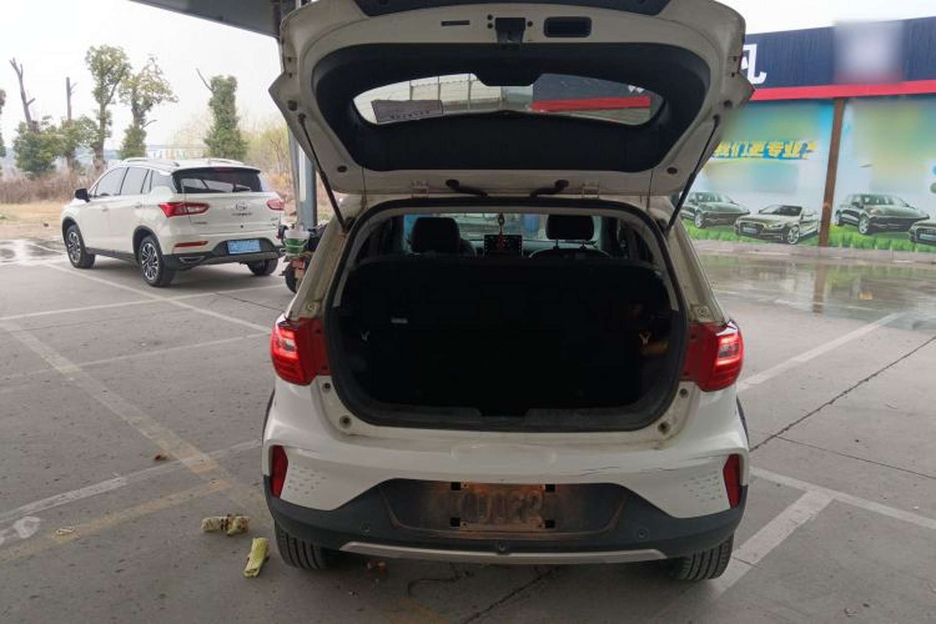 Used BAIC New Energy EC5 2019 New Style Edition Trunk