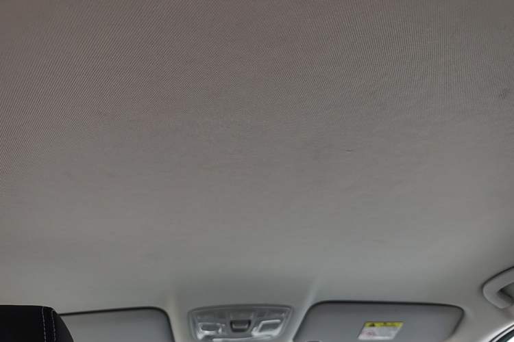 Used BAIC New Energy EC5 2020 Fresh Air Edition Headliner