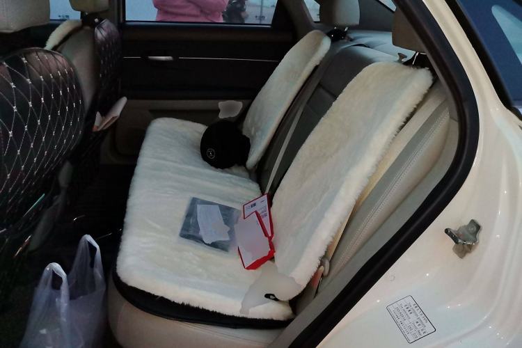 Used BAIC New Energy EU 2016 EU260 Enjoy Edition Left Rear Seat