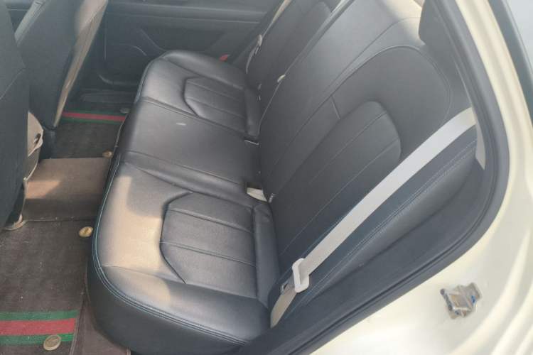 Used BAIC New Energy EU 2018 EU Quick-Change Loto Custom Edition Left Rear Seat