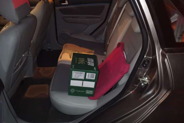 Used BAIC New Energy EV 2016 EV160 Light Edition Left Rear Seat