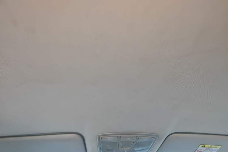 Used BAIC New Energy EX 2018 EX360 New Style Edition Headliner