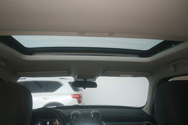 Used BAIC Off-Road BJ20 2016 1.5T Manual Luxury Model Headliner