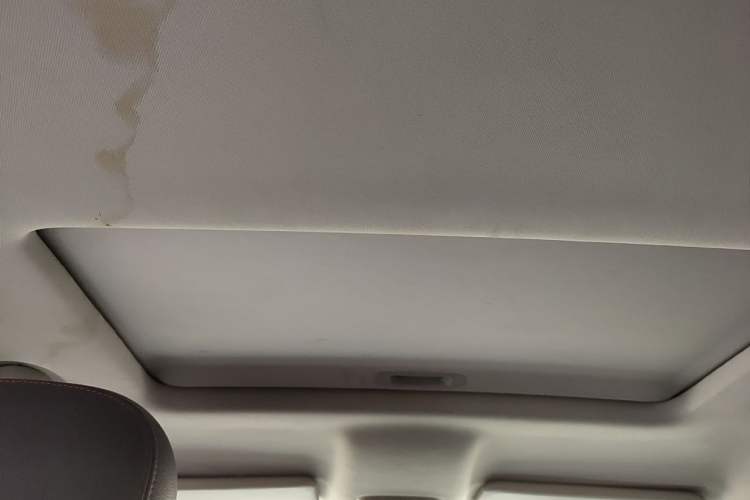 Used BAIC Off-Road BJ20 2016 1.5T CVT Luxury Model Headliner