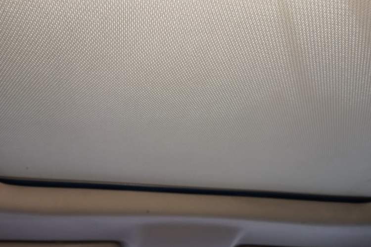 Used BAIC Off-Road BJ20 2018 1.5T CVT Luxury Model Headliner